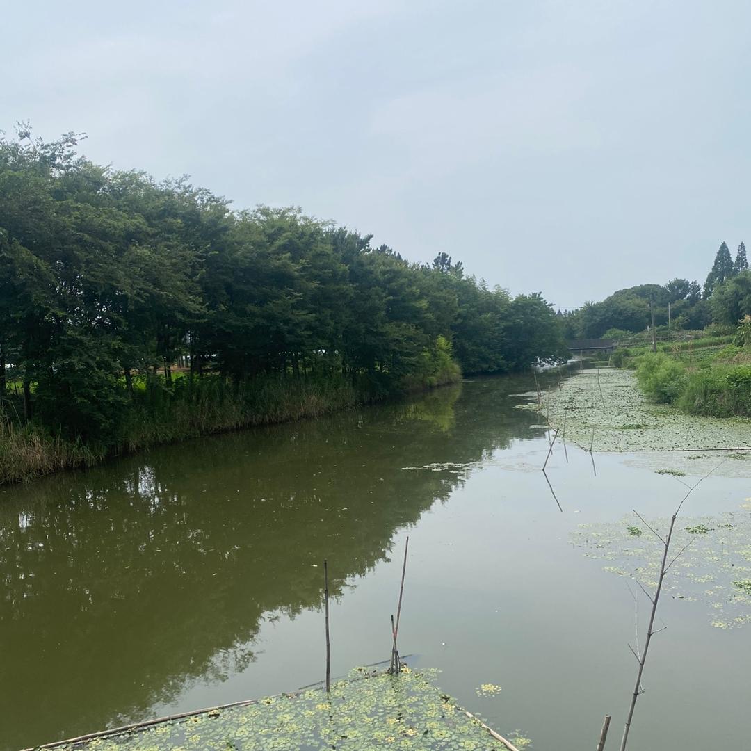 潇洒走一回