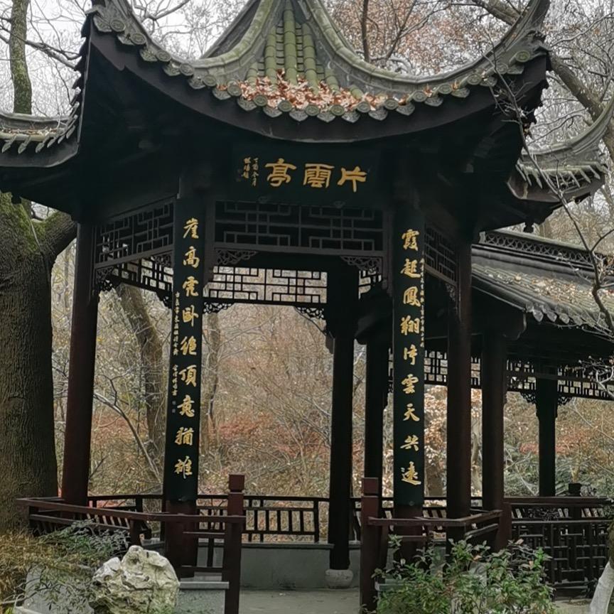 明天会有彩虹