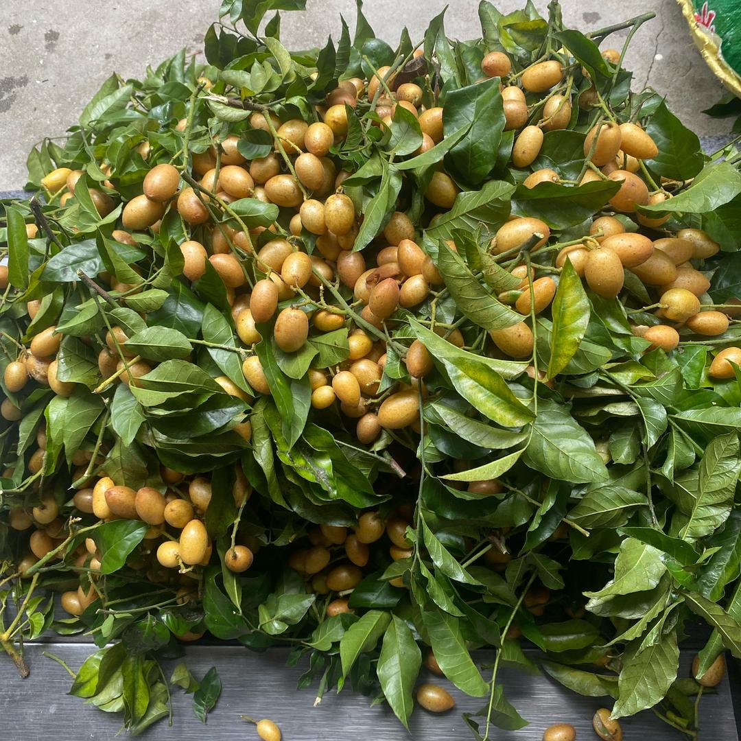 小姝  平平安安