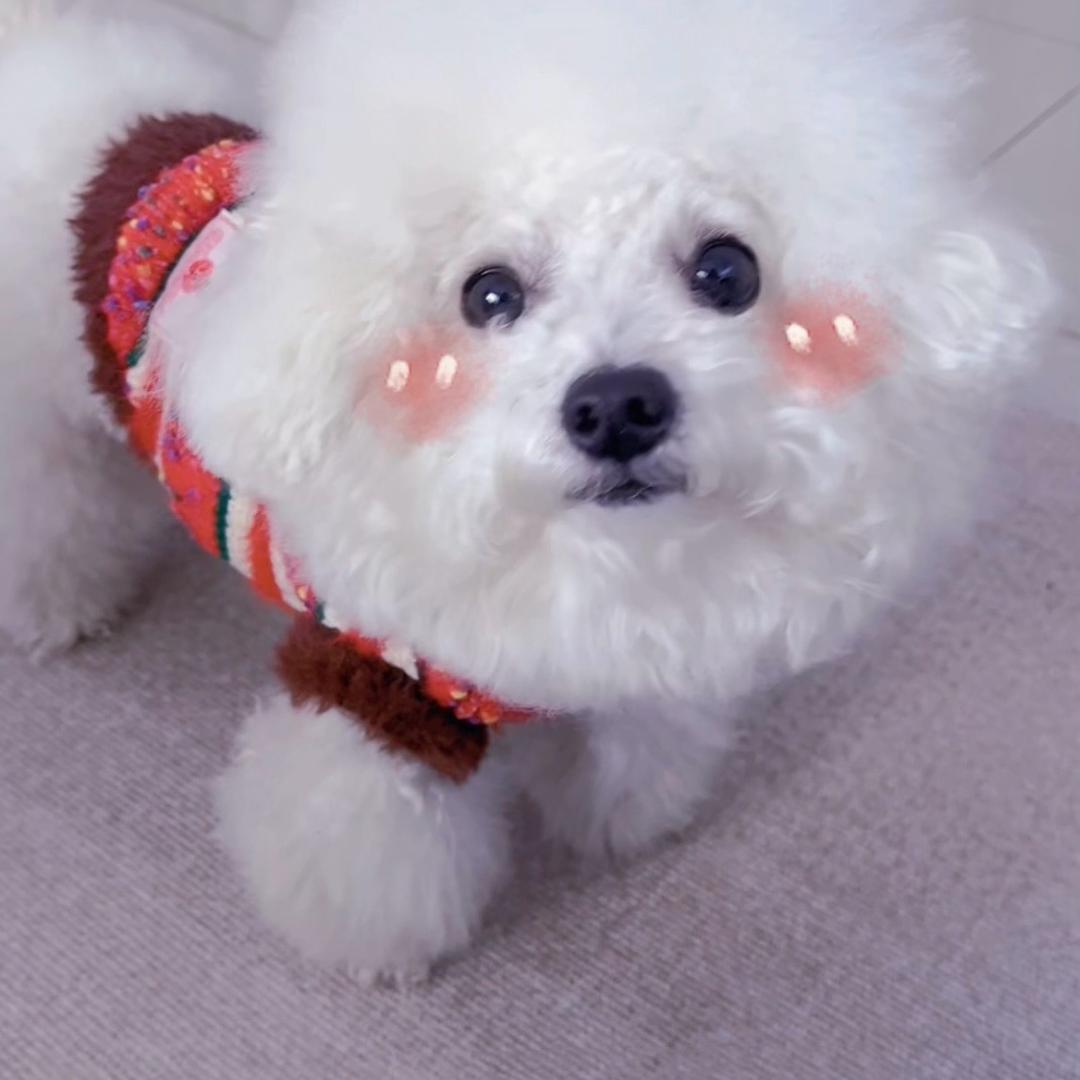 朗朗