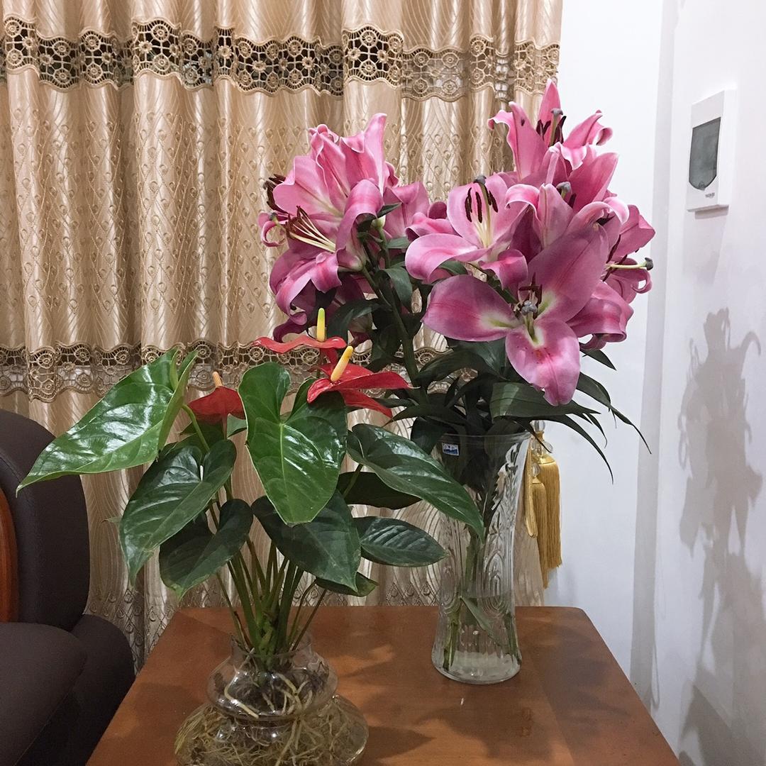 丽丽