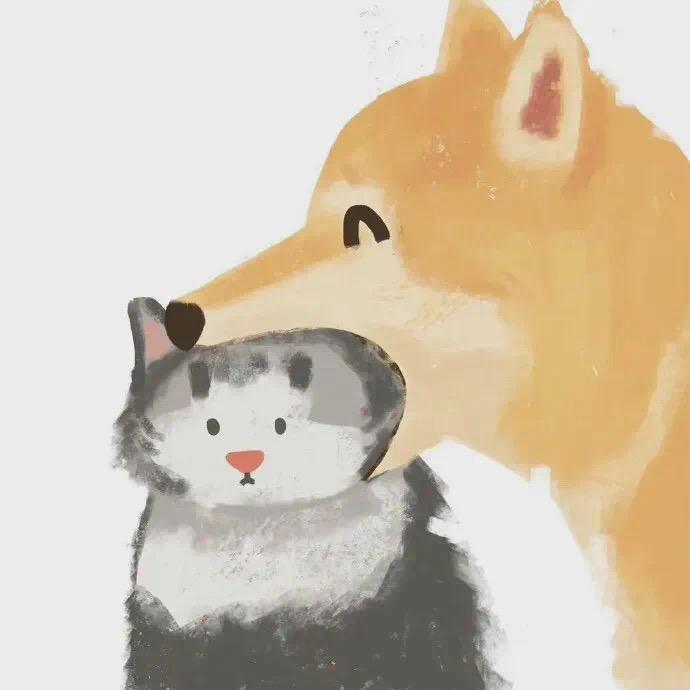 修远中学吴老师