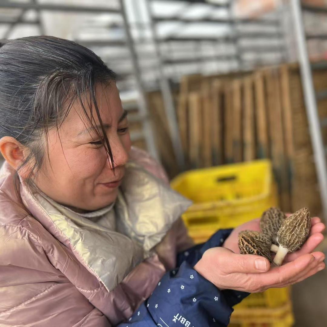 华姐野生菌农产品批发