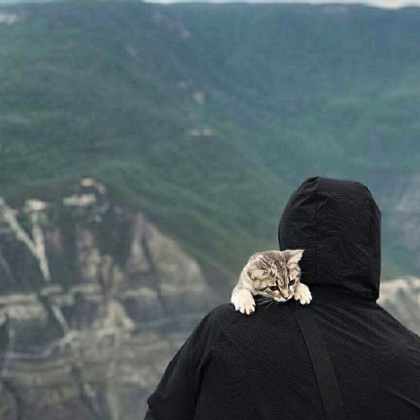 〈茻晩〉和平精英