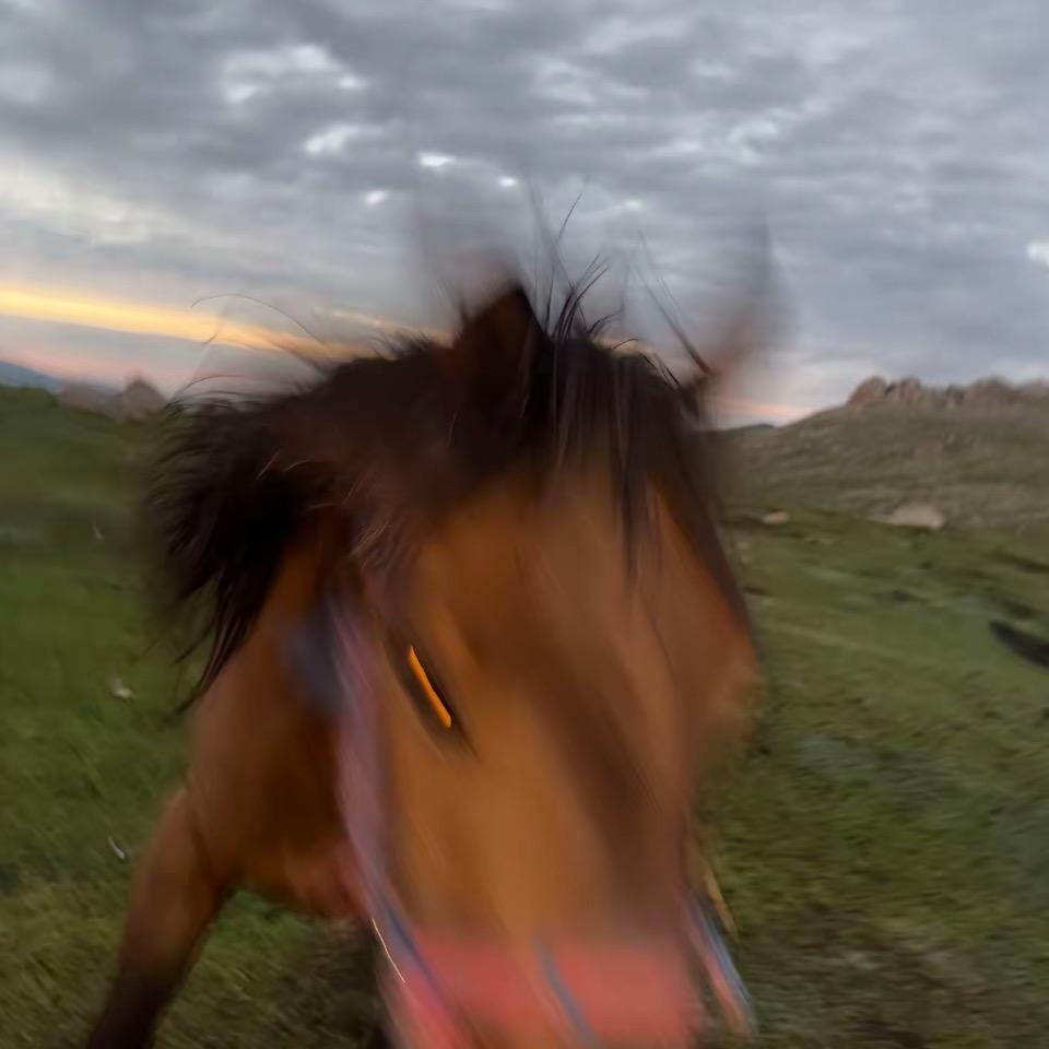 o…0