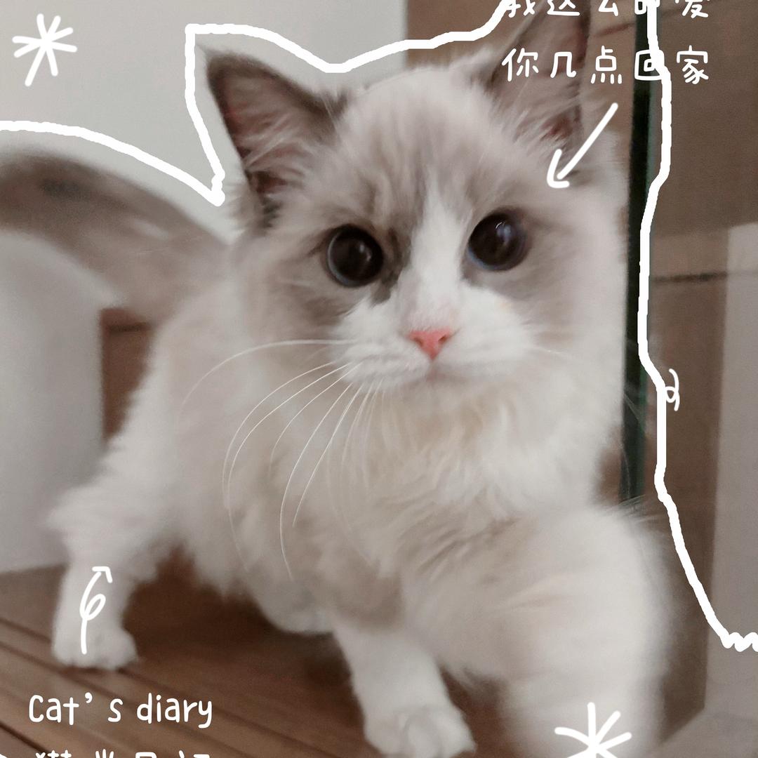 甜甜圈🍩