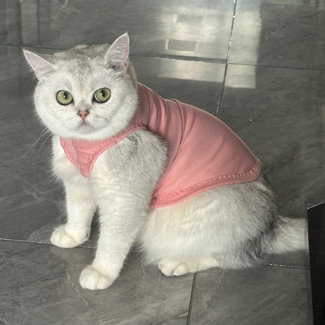 点布卷