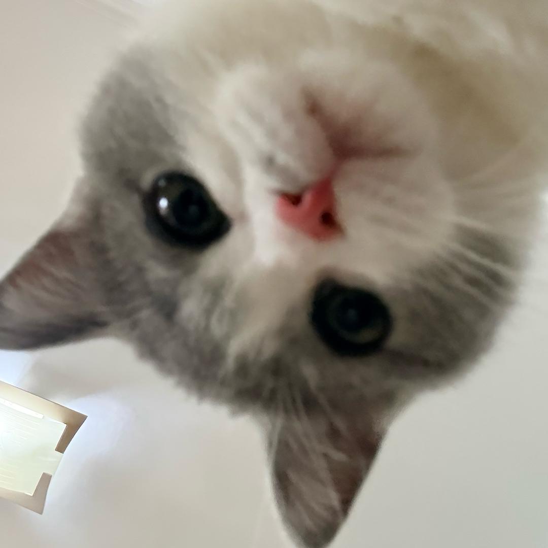 🀄️