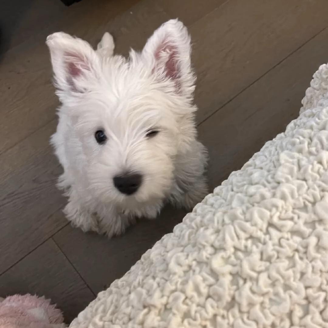 老公偷穿蕾丝内裤在外面给别人当0