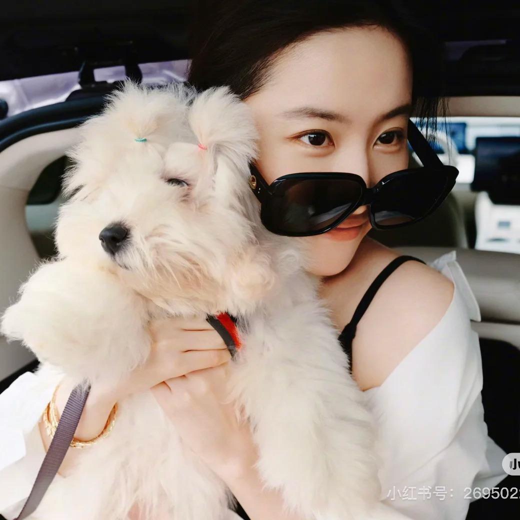 黄亦玫之西安分玫🧡