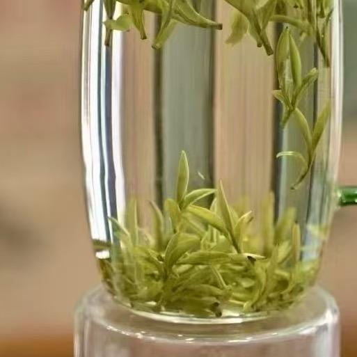玫瑰予茶