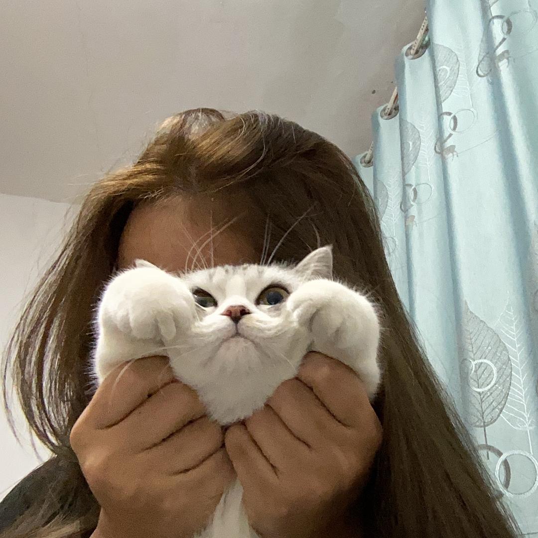 爱笑的狐狸也邂逅了