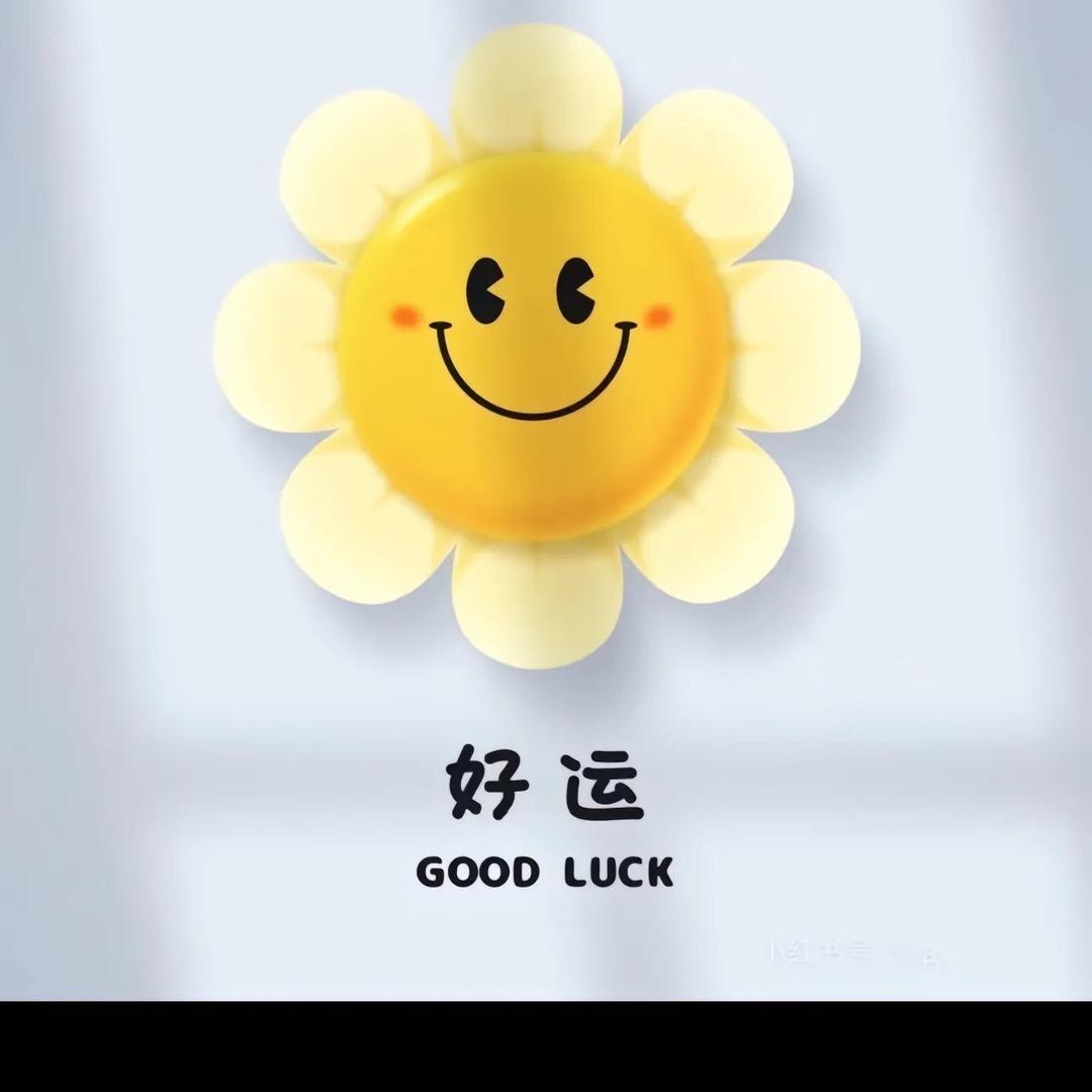 丫丫🌹🍀