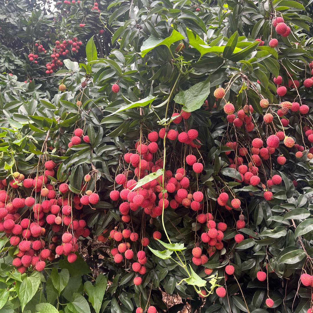 野邻户外俱乐部