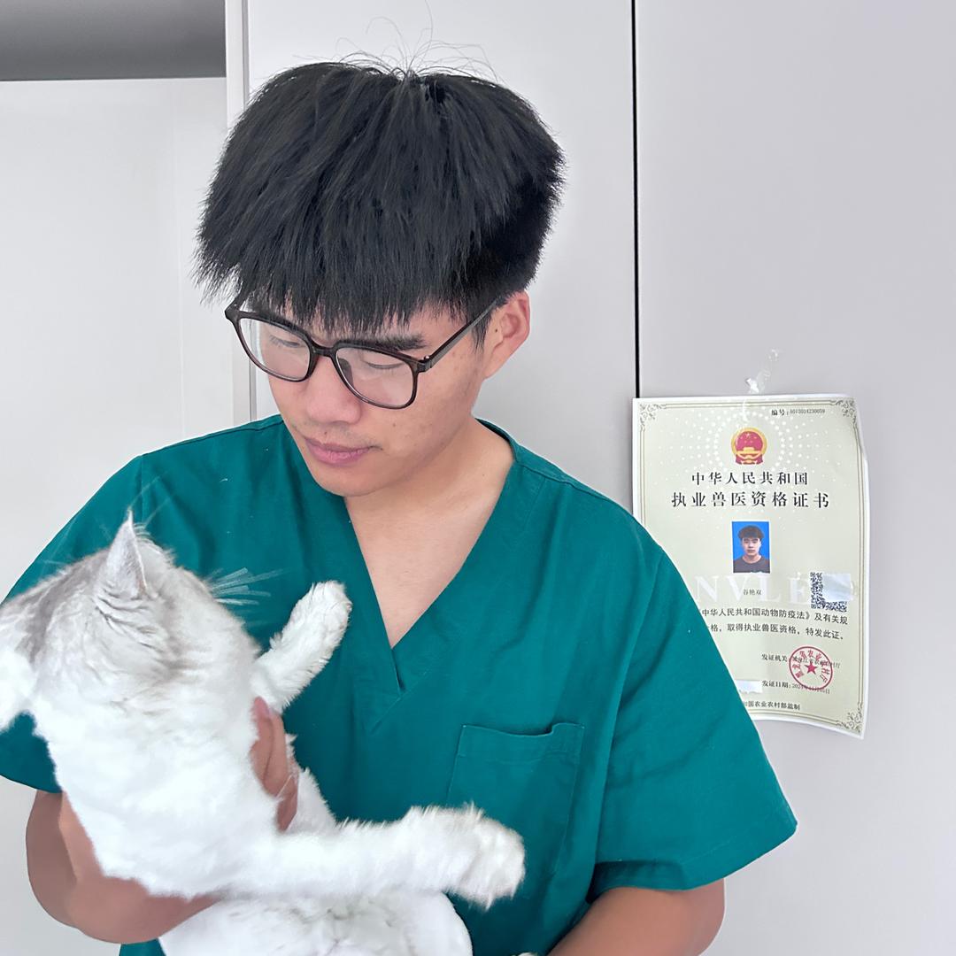 宠医小谷(助理)