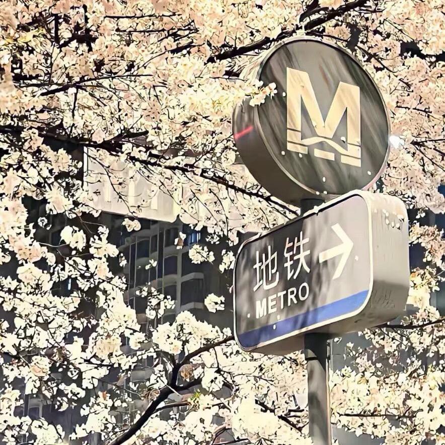 🔥记得早点睡觉💤 ⁶⁸¹