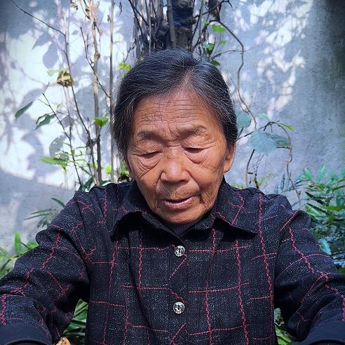 扁鹊嫂的私谱