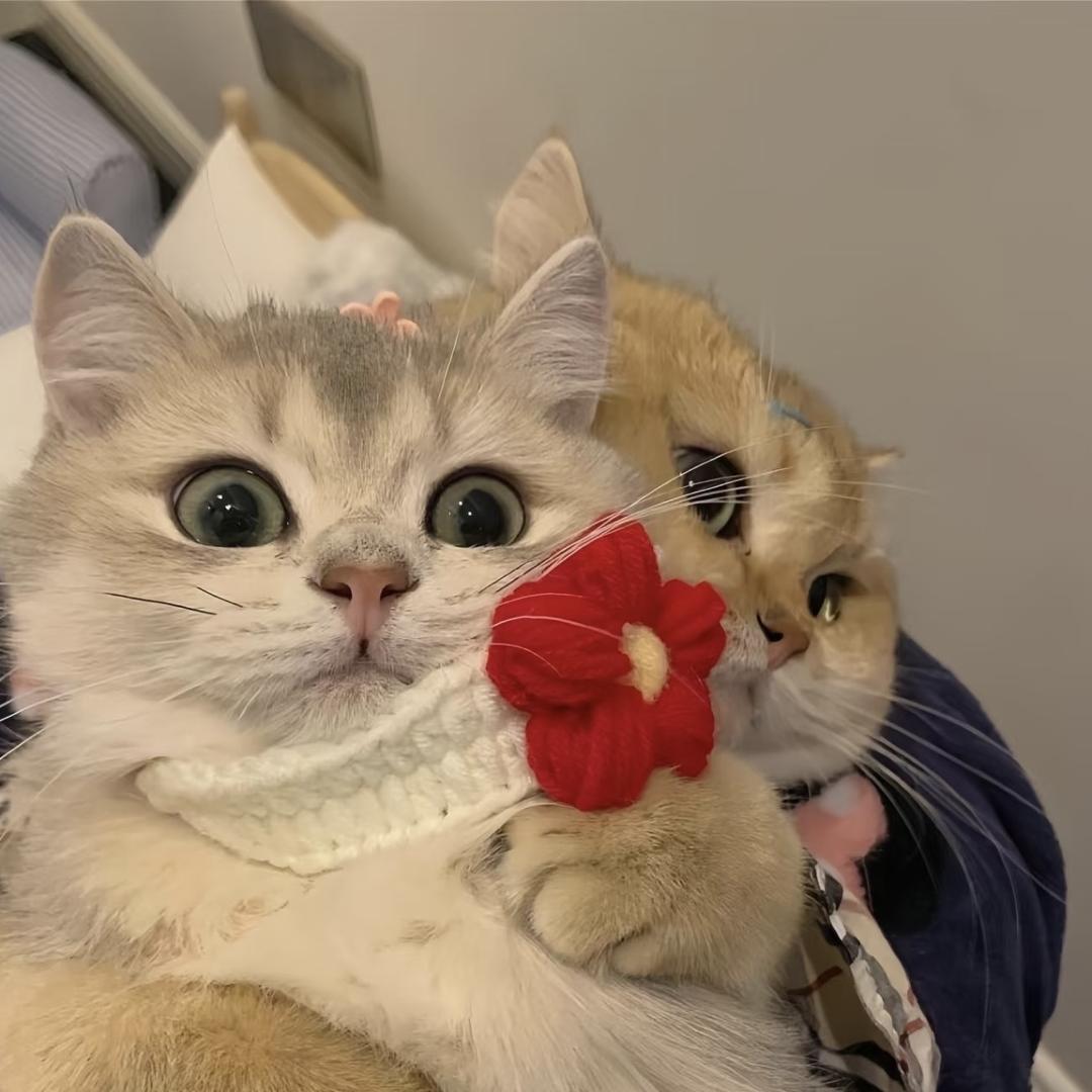 博岩时尚服饰小铺