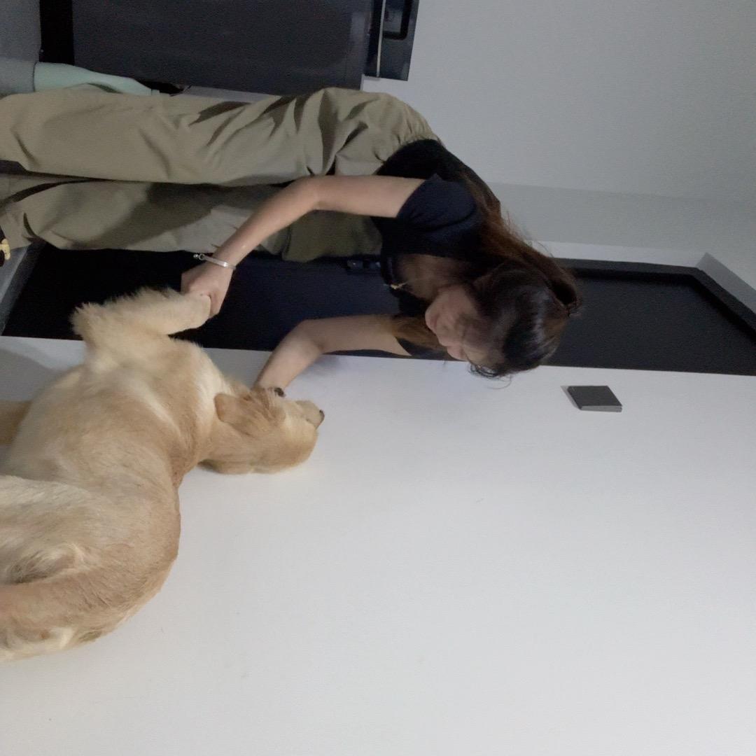 小静子！🦴