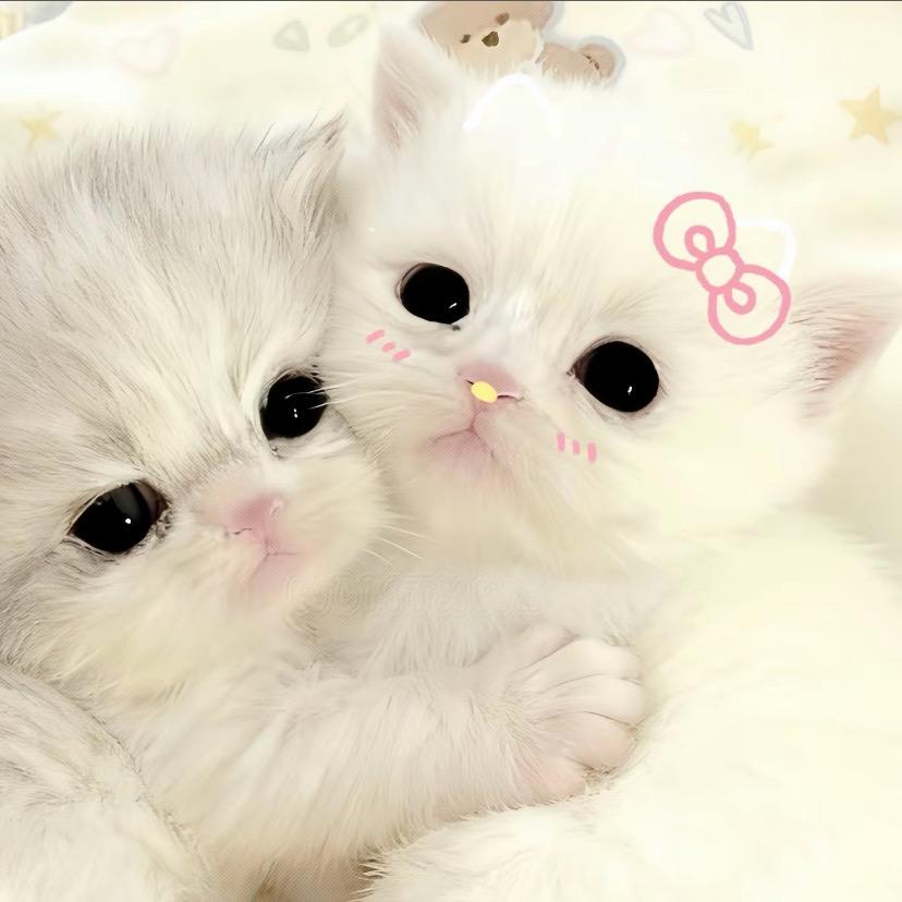 吃一口甜糕厚泡芙