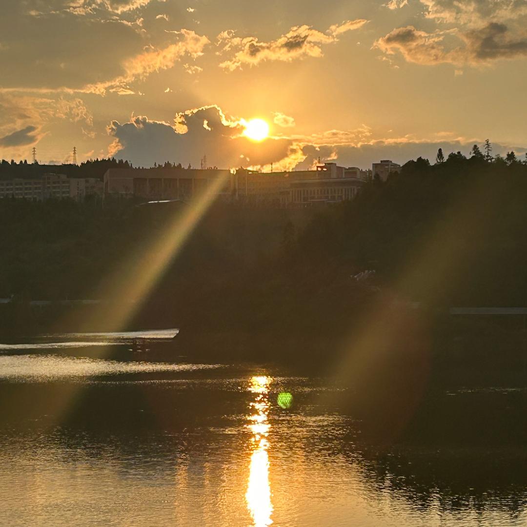 服不服（快刀斩乱🐎）