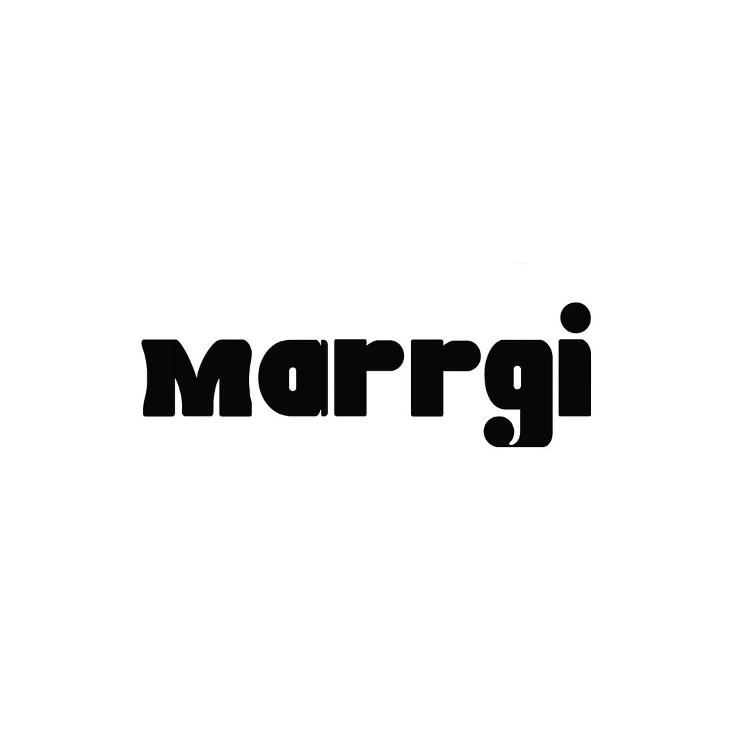 Marrgi马瑞欧