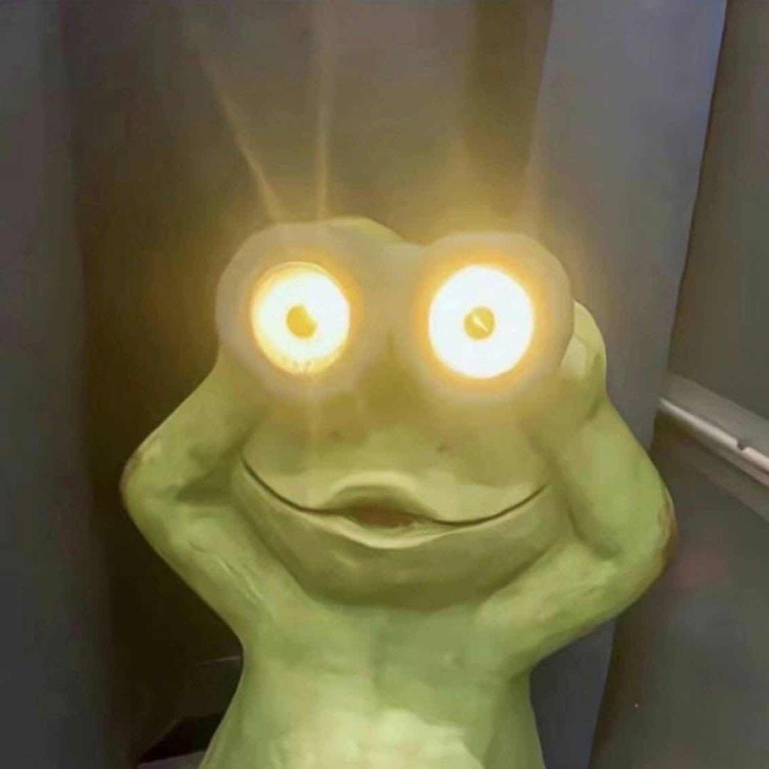 一只蛙🐸