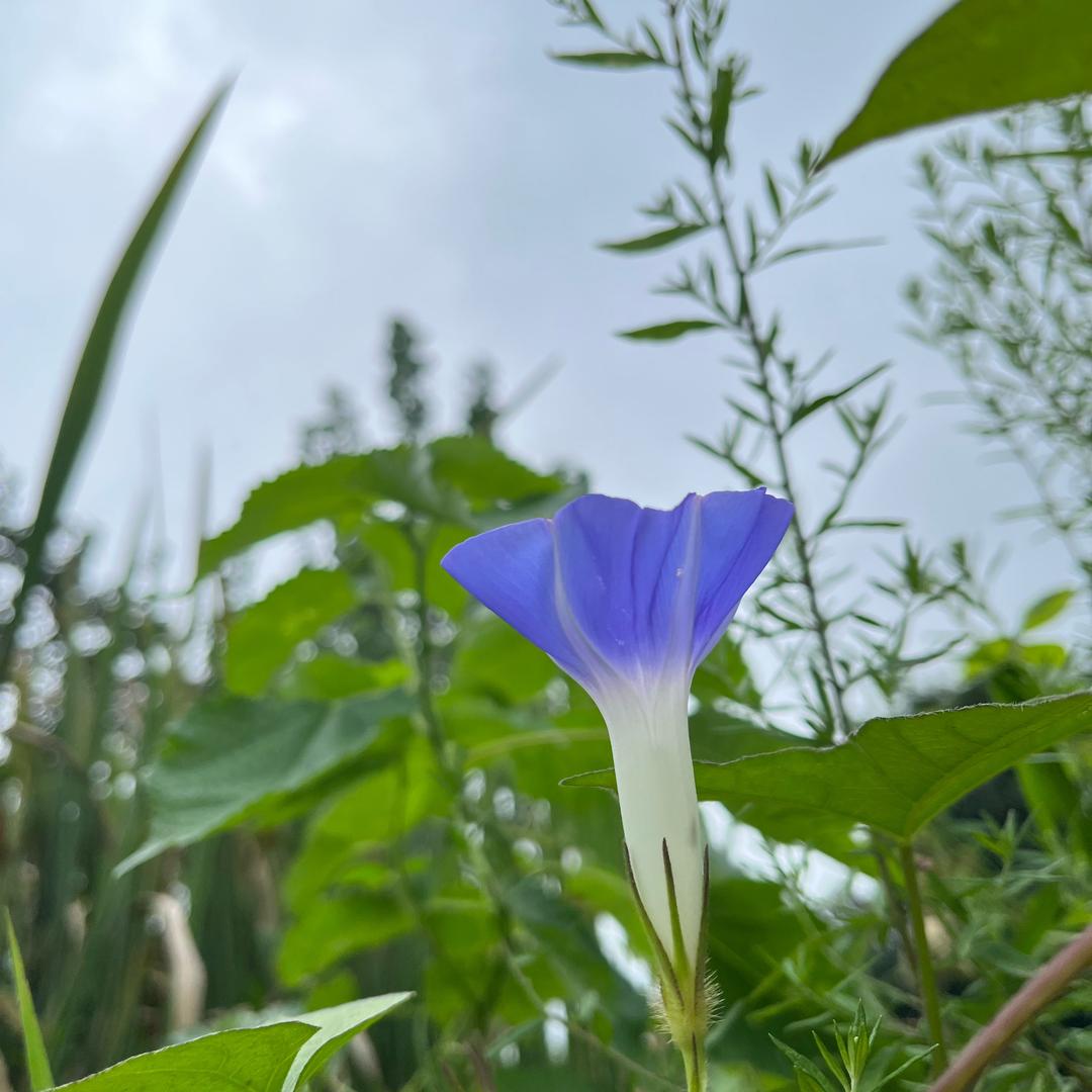 9爱（橱窗好物）