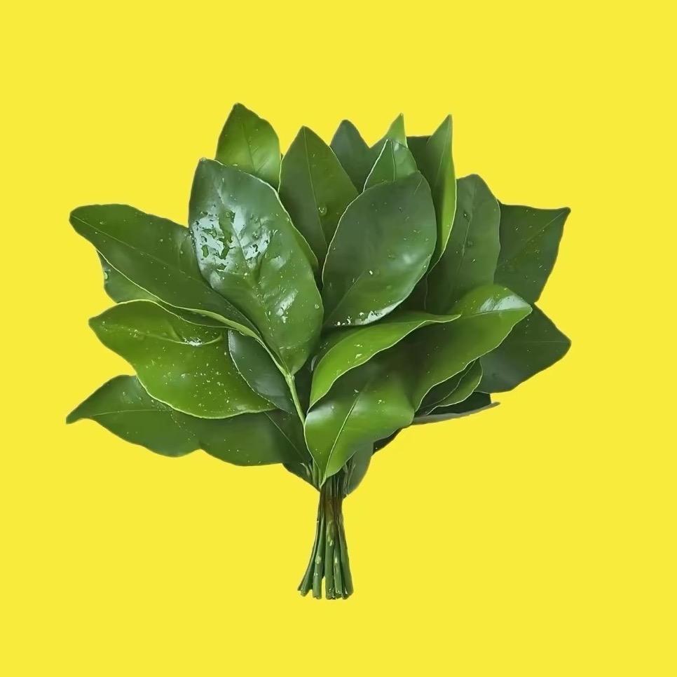 小煜（yù）健身