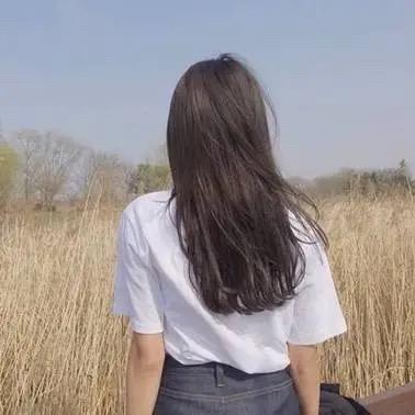 鹿与鱼