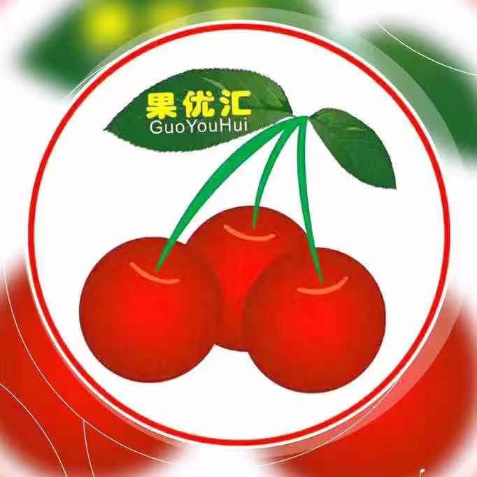 果优汇河源大同店