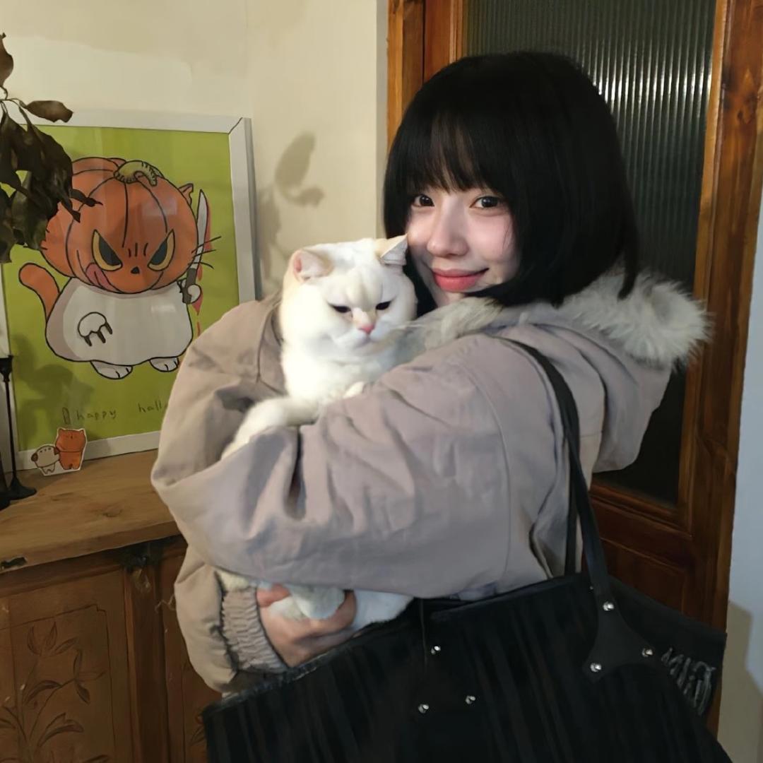 秋秋.