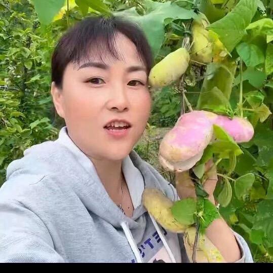 6妹