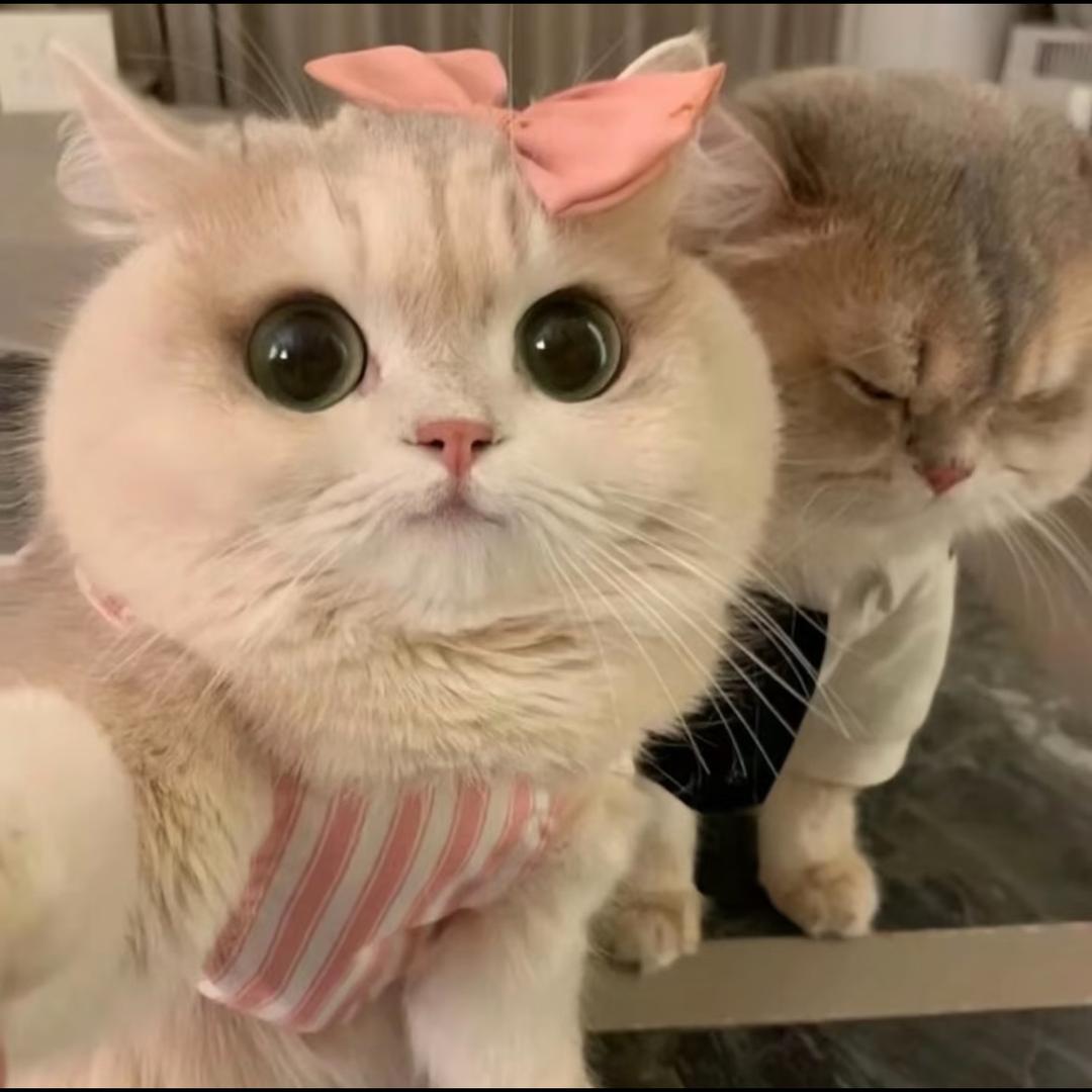 我不是tzy