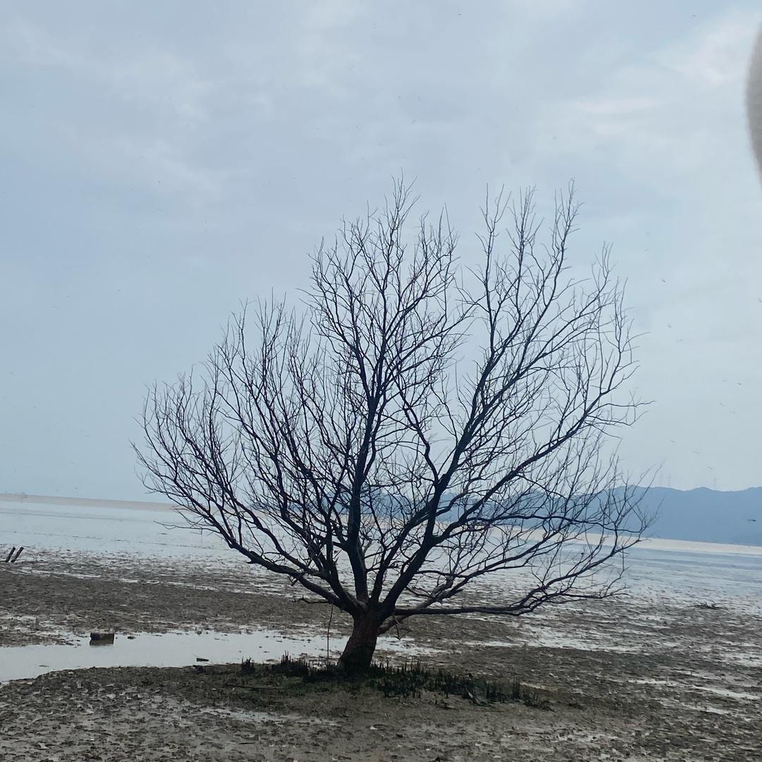 归零.