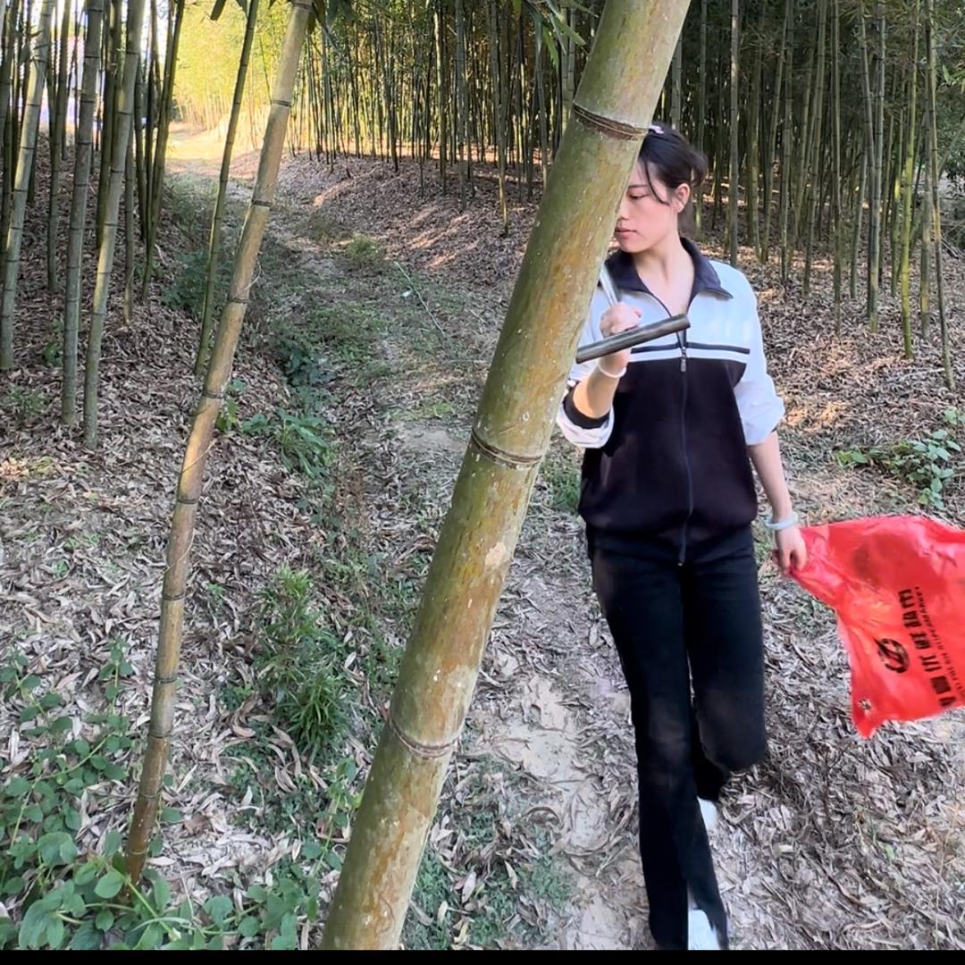 小杨丽