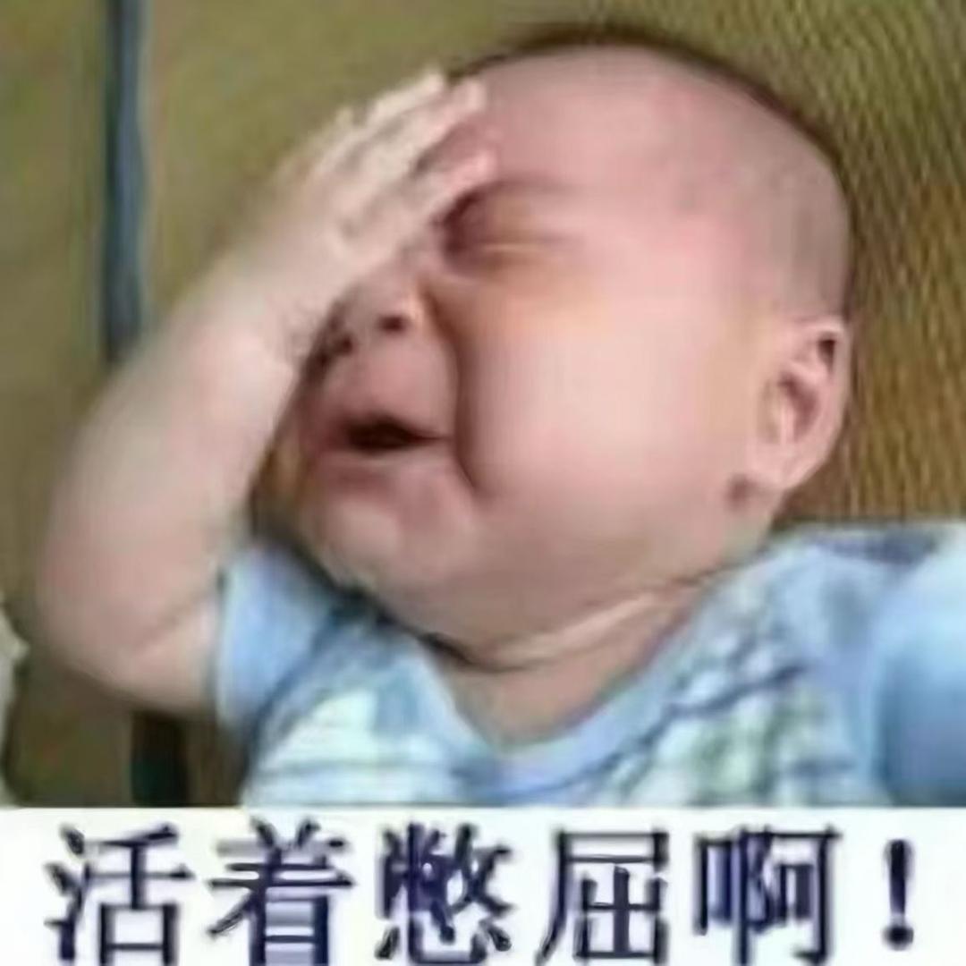小迪ovo