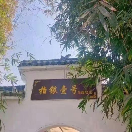 武汉市东西湖区柏银壹号生态农庄