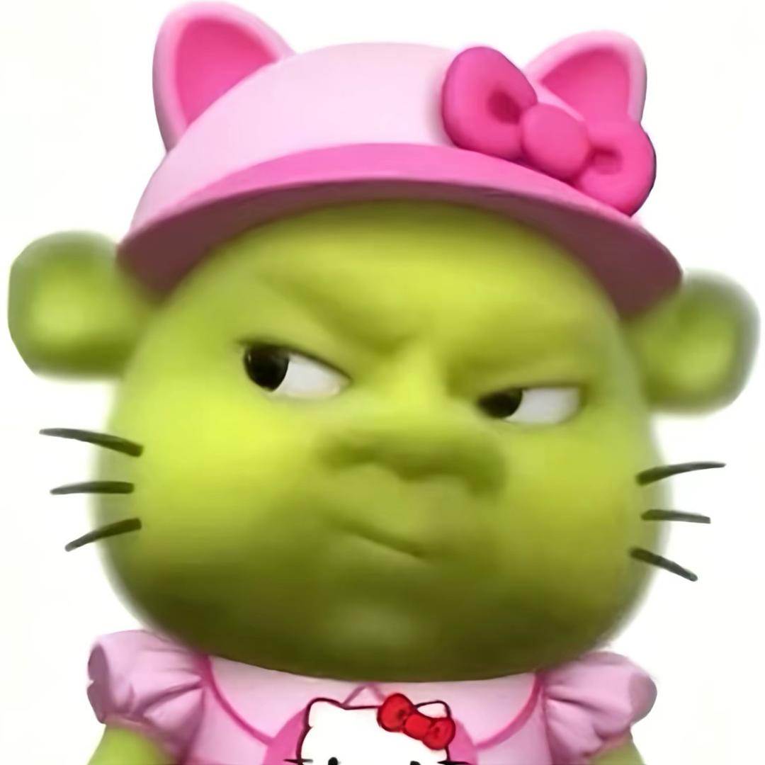 呆呆小迪