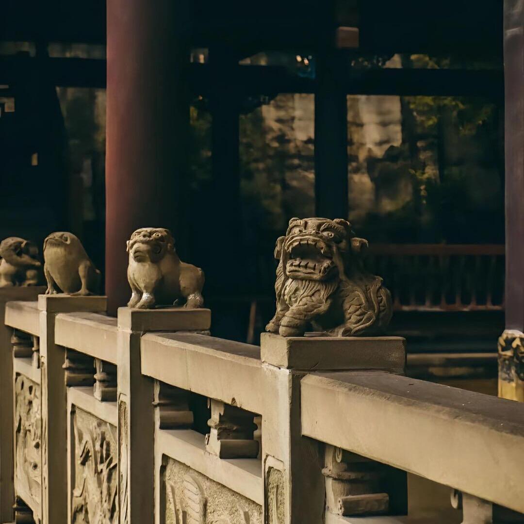 自然之道（点关注贝曾）