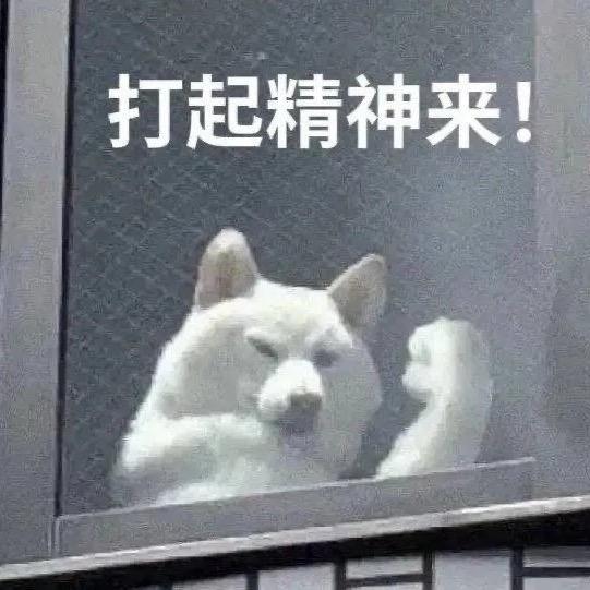 emo了