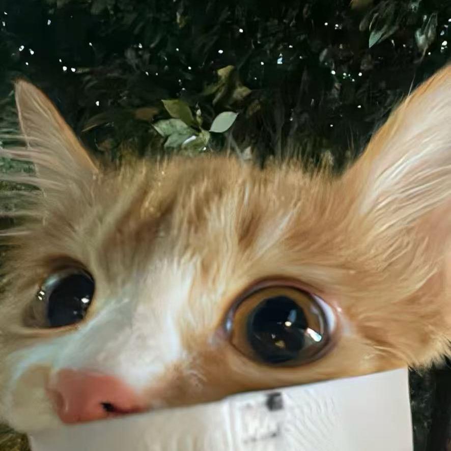 T  .