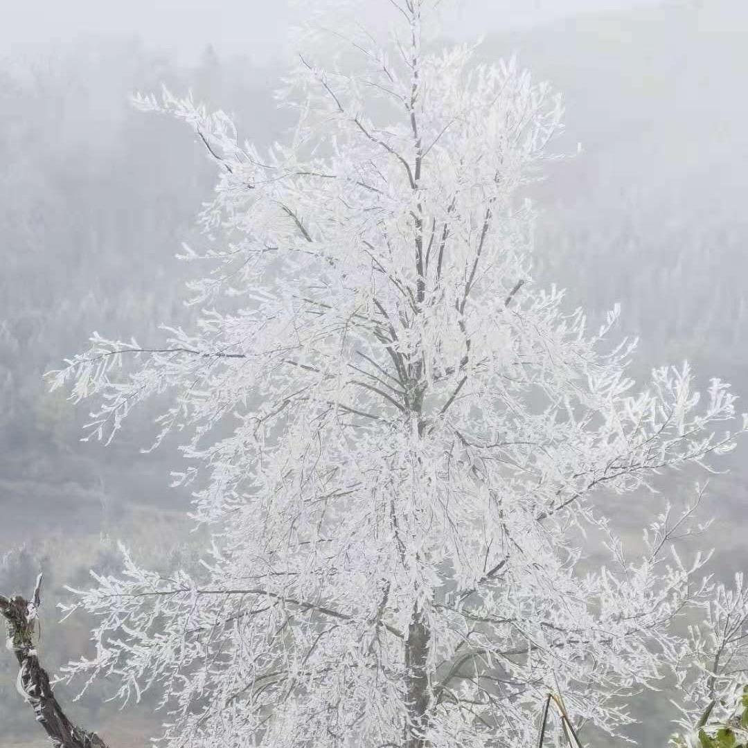再见之时终成意