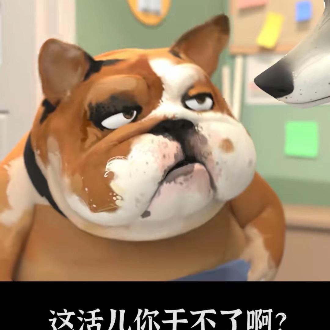 小斌🍭