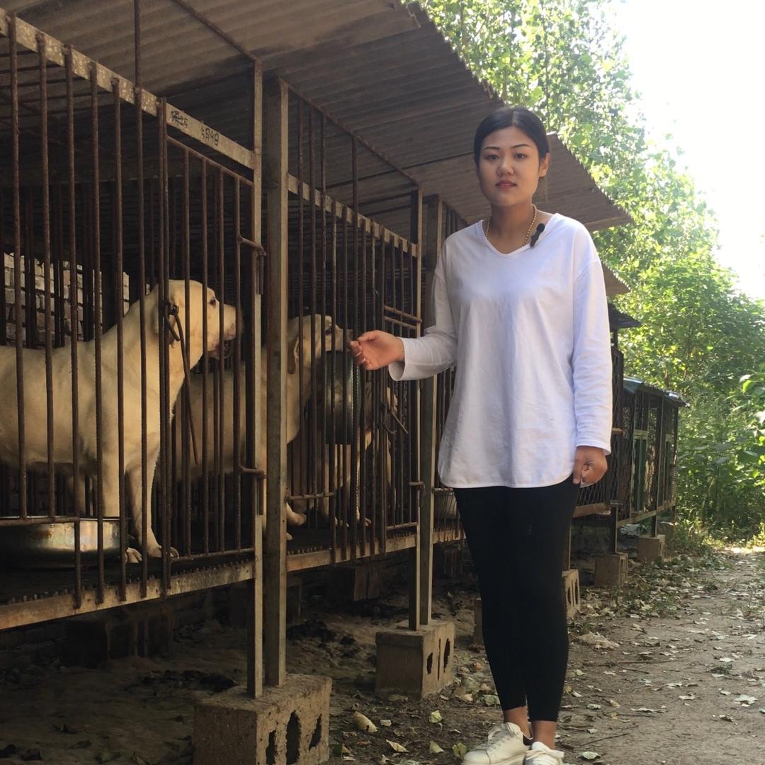 江姐   拉拉繁殖基地