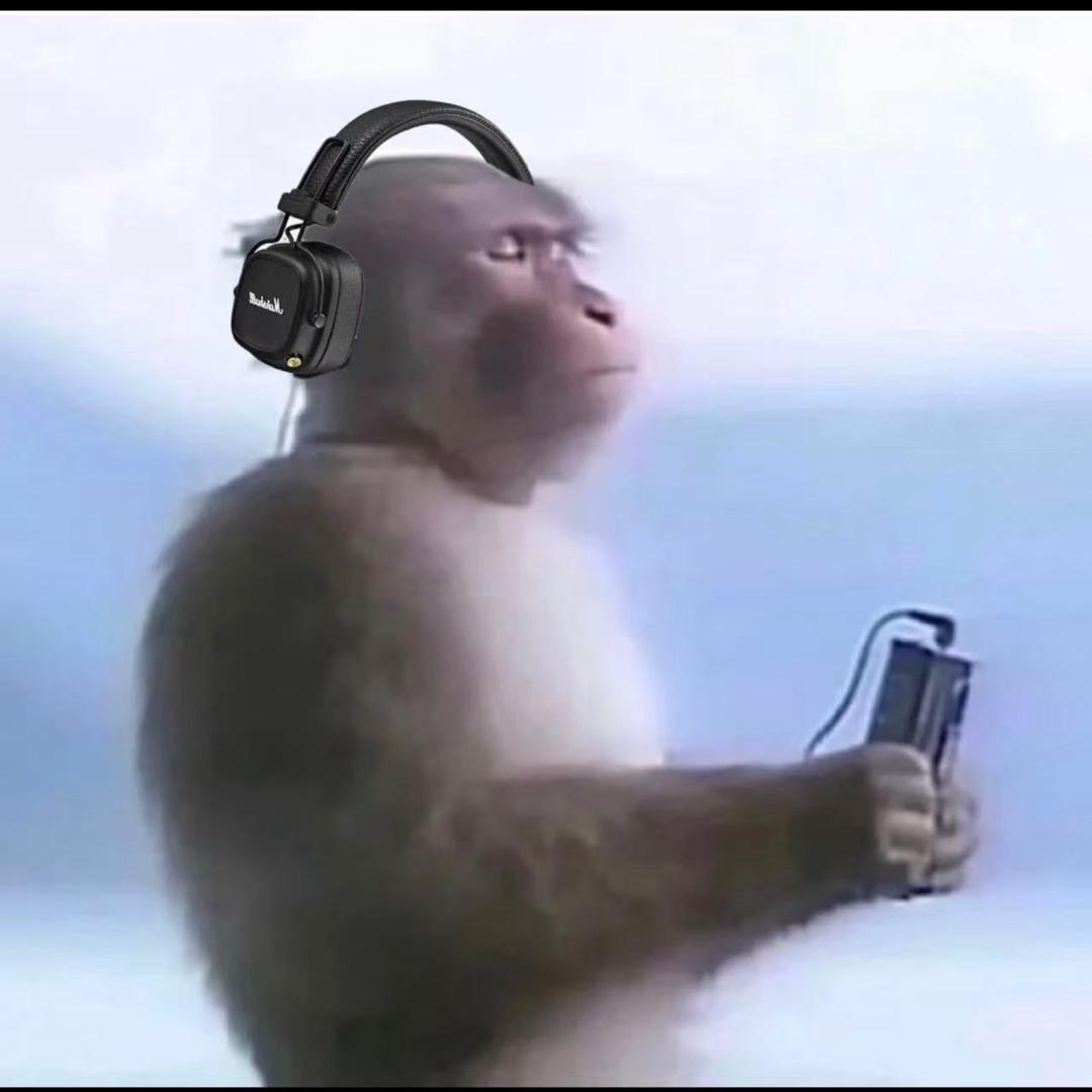 小伟哥数码（HiFi音频）