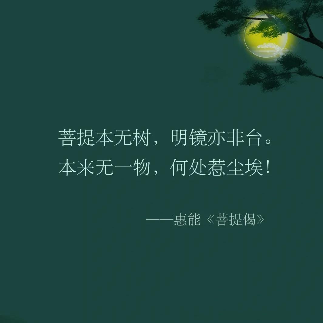 绿菩提