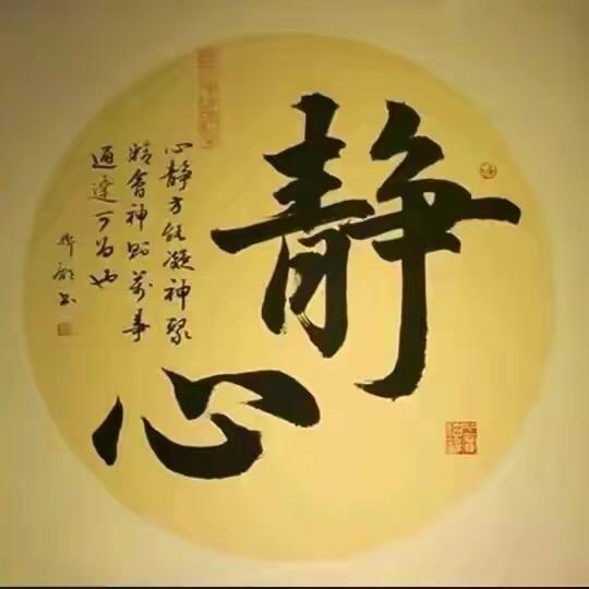 禅意先生