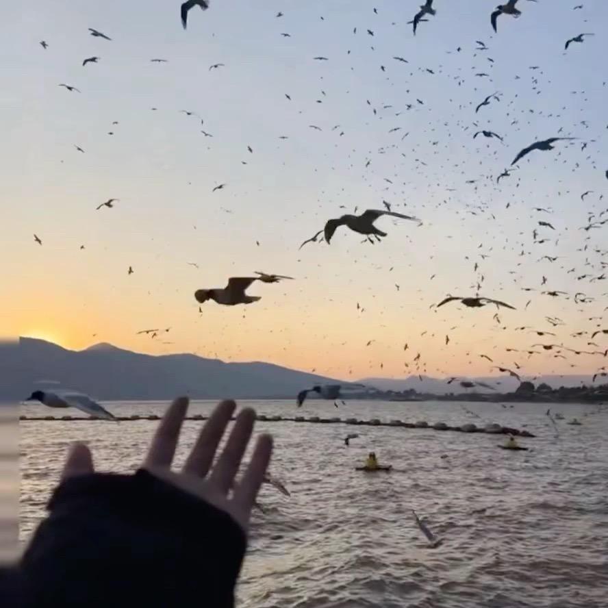 阿依艾力.麦和木提伊利亚尔