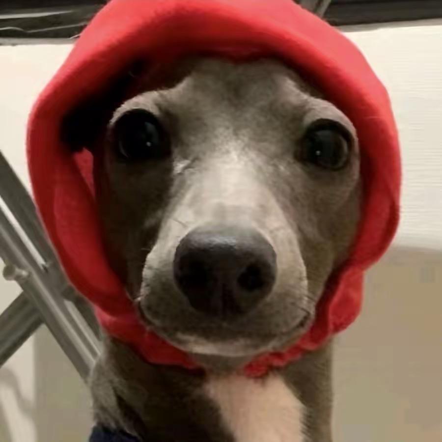 武汉市颐坪百货零售有限责任公司2